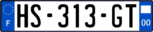 HS-313-GT