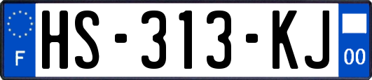 HS-313-KJ
