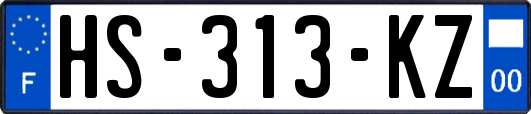 HS-313-KZ