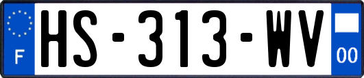 HS-313-WV