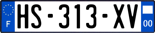 HS-313-XV