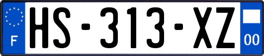 HS-313-XZ