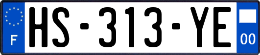 HS-313-YE