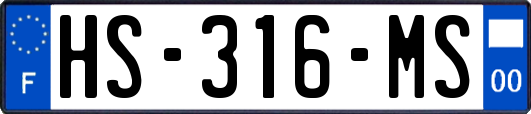 HS-316-MS