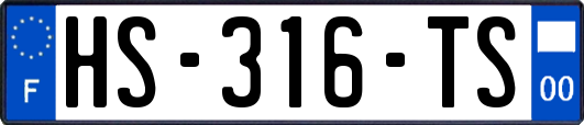 HS-316-TS