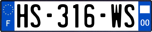 HS-316-WS