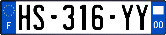 HS-316-YY