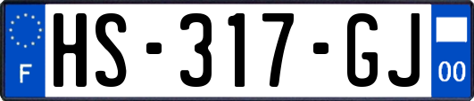 HS-317-GJ