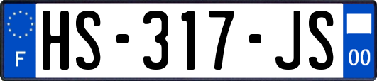 HS-317-JS