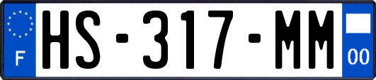HS-317-MM