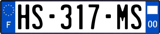 HS-317-MS