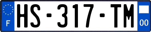 HS-317-TM