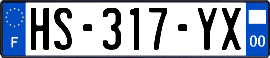 HS-317-YX