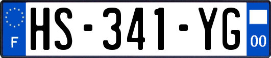 HS-341-YG