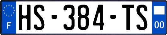 HS-384-TS