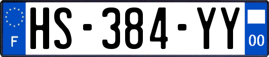 HS-384-YY