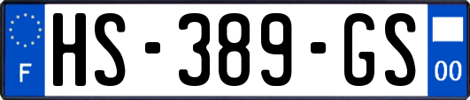 HS-389-GS