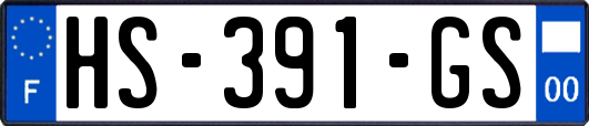 HS-391-GS
