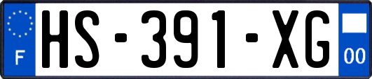 HS-391-XG