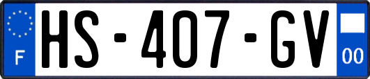 HS-407-GV
