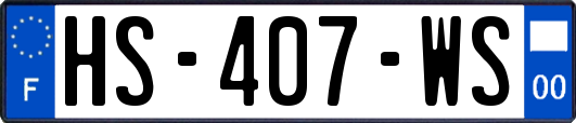 HS-407-WS
