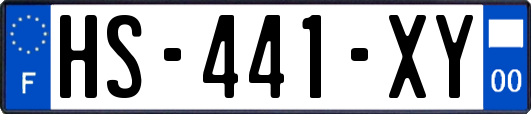 HS-441-XY