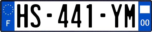 HS-441-YM