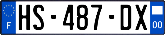 HS-487-DX