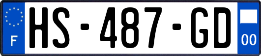 HS-487-GD