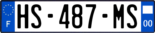 HS-487-MS