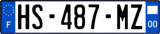 HS-487-MZ