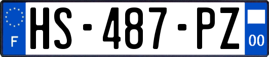 HS-487-PZ