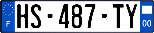 HS-487-TY