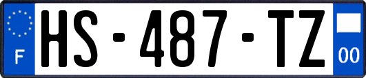 HS-487-TZ