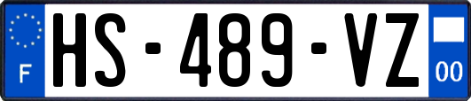 HS-489-VZ