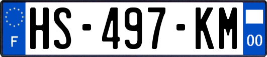 HS-497-KM