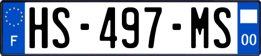 HS-497-MS