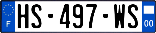 HS-497-WS