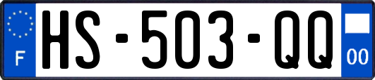HS-503-QQ
