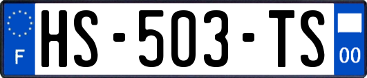 HS-503-TS