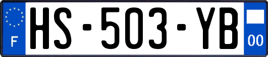 HS-503-YB