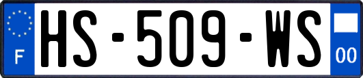 HS-509-WS