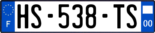 HS-538-TS