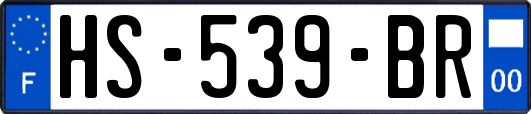 HS-539-BR