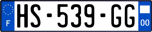 HS-539-GG