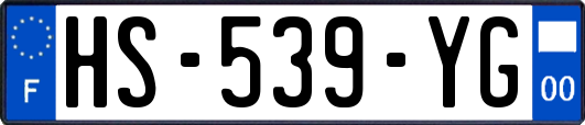 HS-539-YG