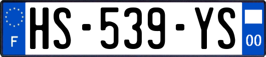 HS-539-YS