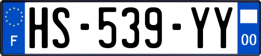 HS-539-YY
