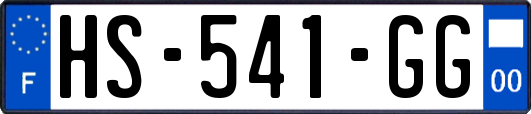 HS-541-GG