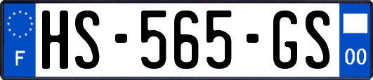 HS-565-GS